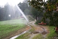 Der 3. Zug versucht von Norden her den Waldbrand zu bekmpfen